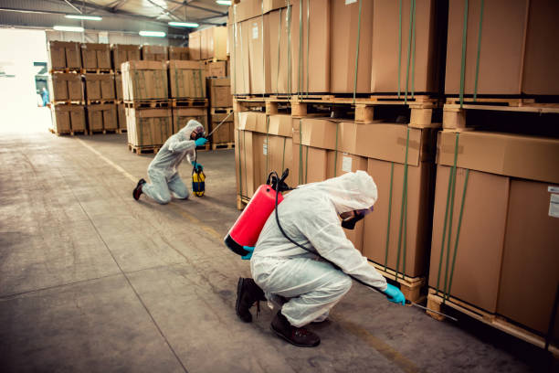 Best Best Pest Control Companies  in Kittery Point, ME